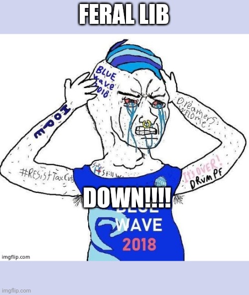 Blue wave liberal | FERAL LIB DOWN!!!! | image tagged in blue wave liberal | made w/ Imgflip meme maker