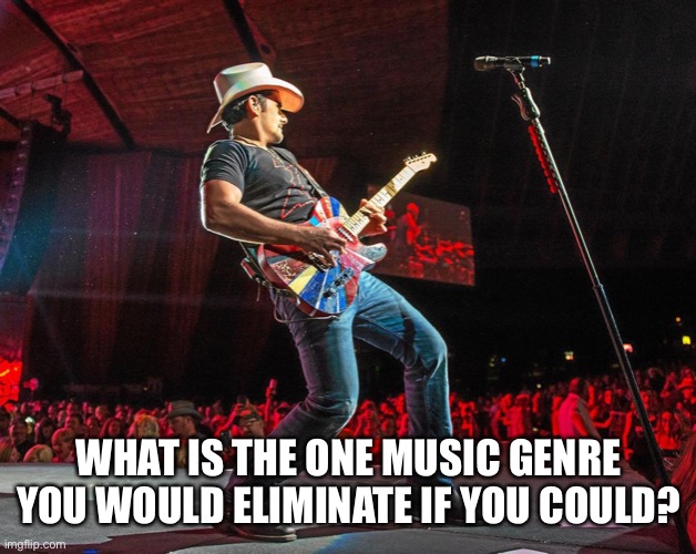 country music sucks | WHAT IS THE ONE MUSIC GENRE YOU WOULD ELIMINATE IF YOU COULD? | image tagged in country music,classic rock,hiphop,disco,rock and roll | made w/ Imgflip meme maker