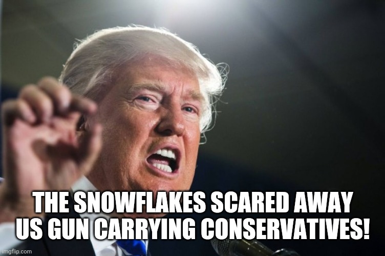This is one of the weakest excuses I've heard. | THE SNOWFLAKES SCARED AWAY US GUN CARRYING CONSERVATIVES! | image tagged in donald trump,trump,tulsa | made w/ Imgflip meme maker
