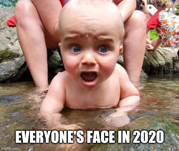 2020 | EVERYONE'S FACE IN 2020 | image tagged in 2020 | made w/ Imgflip meme maker