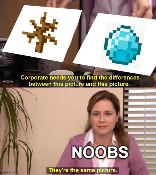 They're The Same Picture Meme | NOOBS | image tagged in memes,they're the same picture | made w/ Imgflip meme maker