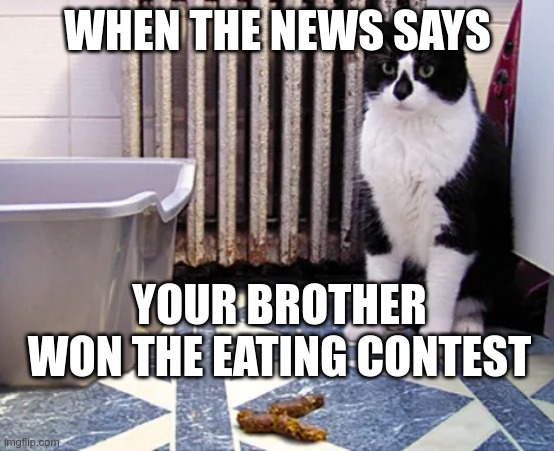 eating contest | WHEN THE NEWS SAYS; YOUR BROTHER WON THE EATING CONTEST | image tagged in poop cat | made w/ Imgflip meme maker