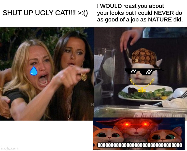 oof | SHUT UP UGLY CAT!!!! >:(); I WOULD roast you about your looks but I could NEVER do as good of a job as NATURE did. OOOOOOOOOOOOOOOOOOOOOOOOOOOOOOOO | image tagged in memes | made w/ Imgflip meme maker