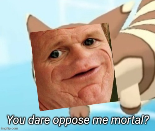High Quality Sosig/furret you dare oppose me mortal? Blank Meme Template