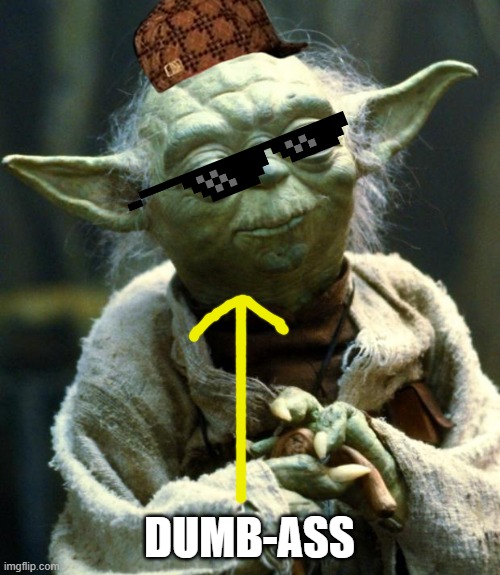 Star Wars Yoda Meme | DUMB-ASS | image tagged in memes,star wars yoda | made w/ Imgflip meme maker