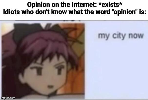 Being Internet is suffering | Opinion on the Internet: *exists*
Idiots who don't know what the word "opinion" is: | image tagged in meduka meguca,internet,memes,opinion | made w/ Imgflip meme maker