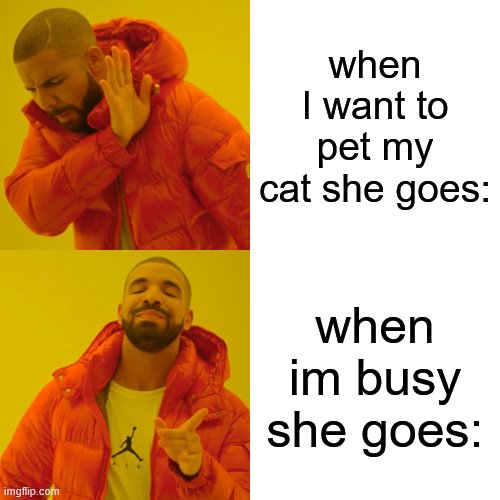my cats | when I want to pet my cat she goes:; when im busy she goes: | image tagged in memes,drake hotline bling | made w/ Imgflip meme maker