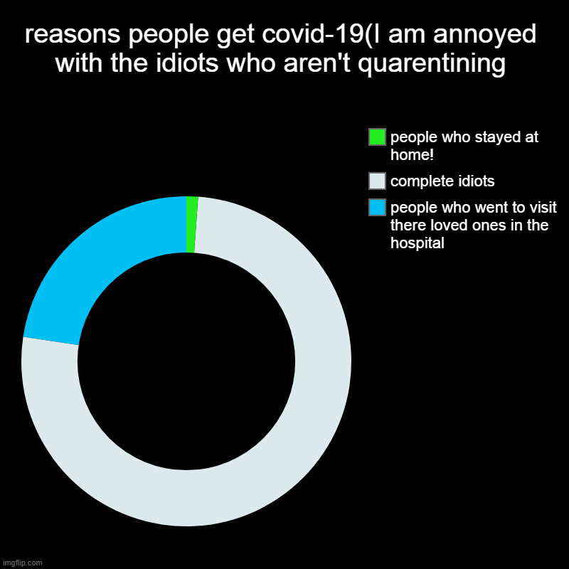 reasons people get covid-19(I am annoyed with the idiots who aren't quarentining | people who went to visit there loved ones in the hospital | image tagged in charts,donut charts | made w/ Imgflip chart maker