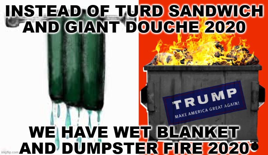 INSTEAD OF TURD SANDWICH AND GIANT DOUCHE 2020; WE HAVE WET BLANKET AND DUMPSTER FIRE 2020 | image tagged in 2020,biden,maga,trump | made w/ Imgflip meme maker