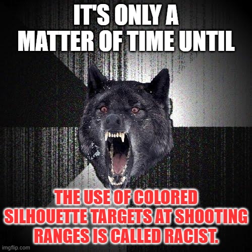 Triggered - paper thin skin | IT'S ONLY A MATTER OF TIME UNTIL; THE USE OF COLORED SILHOUETTE TARGETS AT SHOOTING RANGES IS CALLED RACIST. | image tagged in memes,insanity wolf,color,shooting,triggered,racist | made w/ Imgflip meme maker