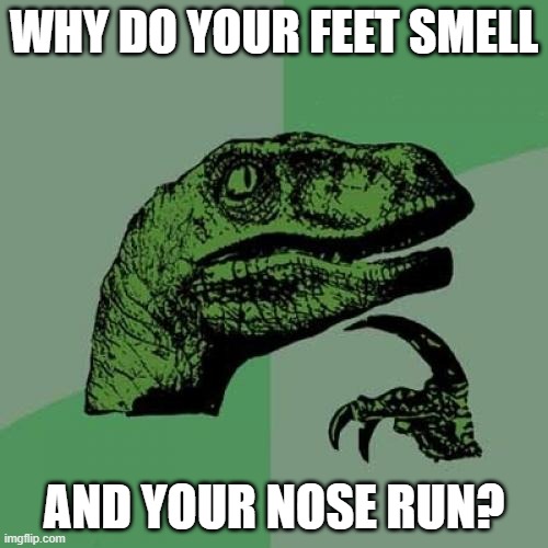 Good question, don't ya think? | WHY DO YOUR FEET SMELL; AND YOUR NOSE RUN? | image tagged in memes,philosoraptor,funny,intelligence | made w/ Imgflip meme maker