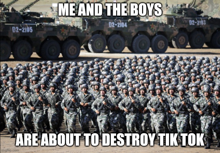 Huge army | ME AND THE BOYS; ARE ABOUT TO DESTROY TIK TOK | image tagged in huge army | made w/ Imgflip meme maker