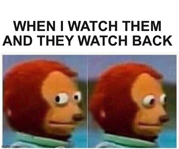 Monkey Puppet Meme | WHEN I WATCH THEM AND THEY WATCH BACK | image tagged in memes,monkey puppet | made w/ Imgflip meme maker