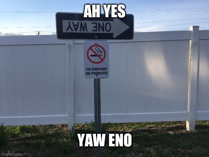 One way to idiocy | AH YES; YAW ENO | image tagged in one way to idiocy | made w/ Imgflip meme maker