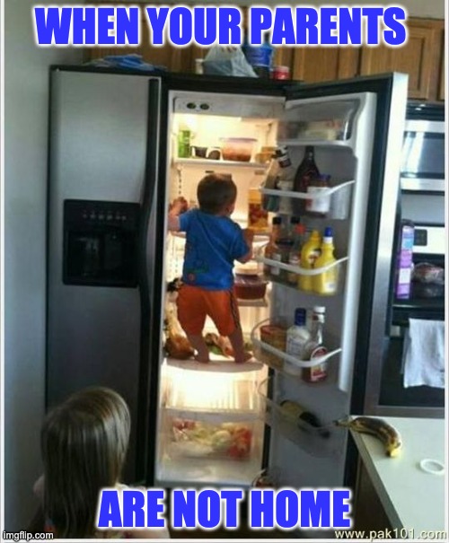 kids | WHEN YOUR PARENTS; ARE NOT HOME | image tagged in baby getting food from fridge | made w/ Imgflip meme maker