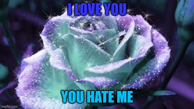 I love you. You hate me. | I LOVE YOU; YOU HATE ME | image tagged in i love you you hate me | made w/ Imgflip meme maker
