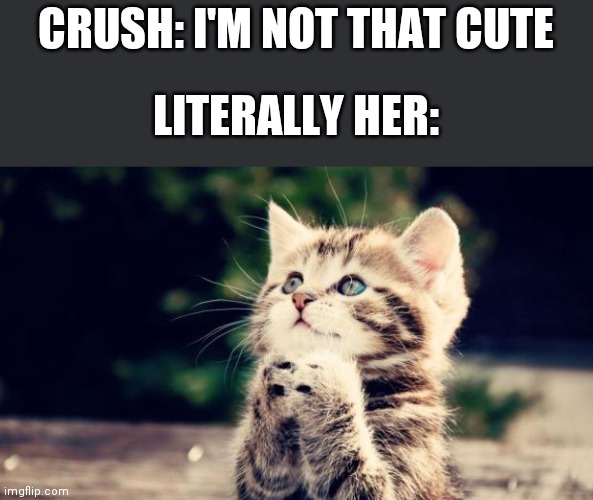 Cute kitten | CRUSH: I'M NOT THAT CUTE; LITERALLY HER: | image tagged in cute kitten | made w/ Imgflip meme maker