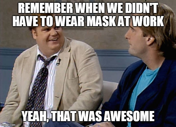Remember that time | REMEMBER WHEN WE DIDN'T HAVE TO WEAR MASK AT WORK; YEAH, THAT WAS AWESOME | image tagged in remember that time | made w/ Imgflip meme maker