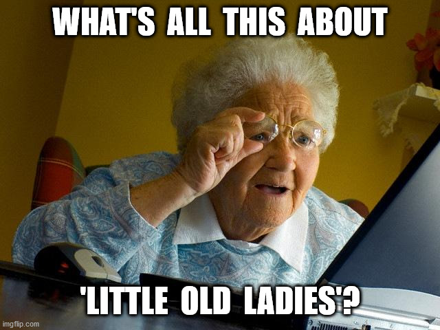 Grandma Finds The Internet Meme | WHAT'S  ALL  THIS  ABOUT 'LITTLE  OLD  LADIES'? | image tagged in memes,grandma finds the internet | made w/ Imgflip meme maker