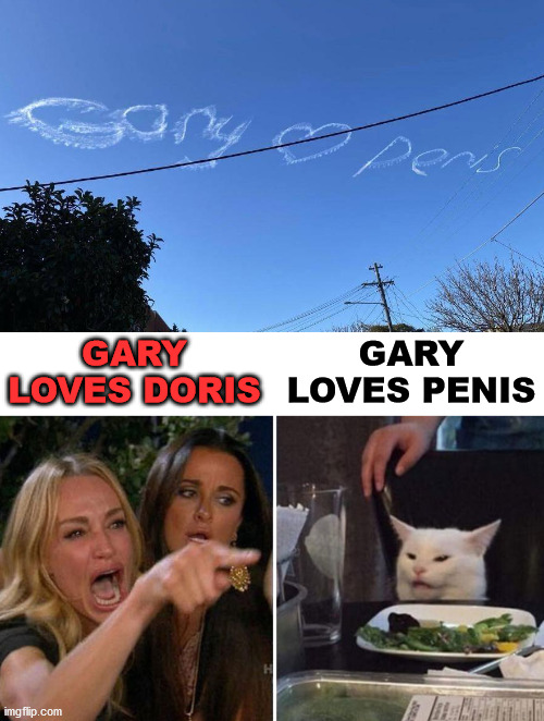 Bad sky writing | GARY LOVES DORIS; GARY LOVES PENIS | image tagged in angry lady cat,writing | made w/ Imgflip meme maker