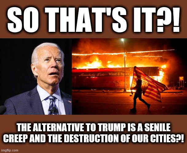SO THAT'S IT?! THE ALTERNATIVE TO TRUMP IS A SENILE CREEP AND THE DESTRUCTION OF OUR CITIES?! | image tagged in memes,alternative to trump,joe biden senile creep,looting arson murder,election 2020 | made w/ Imgflip meme maker