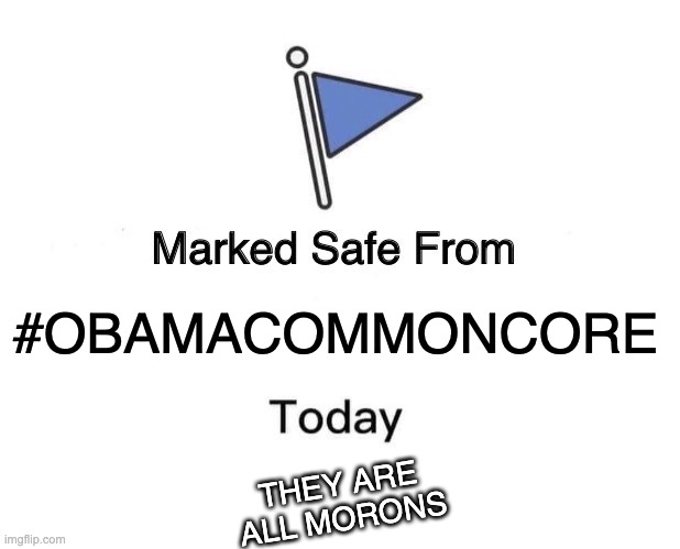 Marked Safe From Meme | #OBAMACOMMONCORE; THEY ARE ALL MORONS | image tagged in memes,marked safe from | made w/ Imgflip meme maker