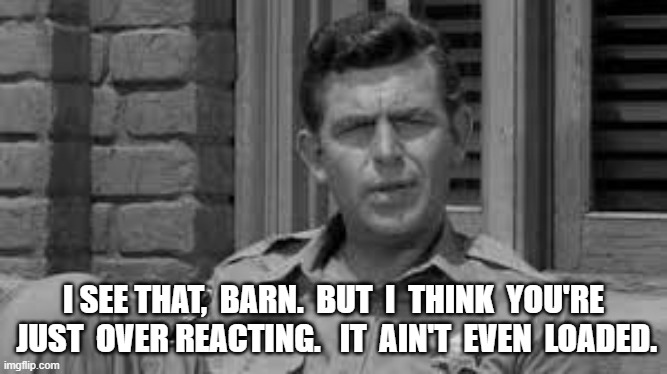 Over reacting | I SEE THAT,  BARN.  BUT  I  THINK  YOU'RE  JUST  OVER REACTING.   IT  AIN'T  EVEN  LOADED. | image tagged in protesters | made w/ Imgflip meme maker