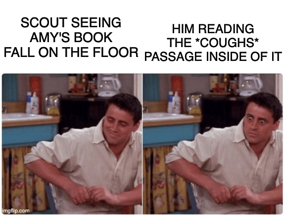 Poor Scout. This is also why he is desensitized. | HIM READING THE *COUGHS* PASSAGE INSIDE OF IT; SCOUT SEEING AMY'S BOOK FALL ON THE FLOOR | image tagged in joey from friends | made w/ Imgflip meme maker