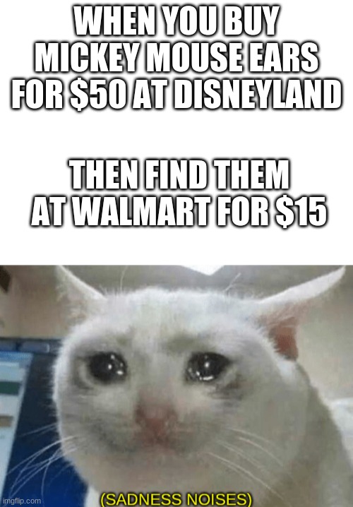 WHEN YOU BUY MICKEY MOUSE EARS FOR $50 AT DISNEYLAND; THEN FIND THEM AT WALMART FOR $15 | image tagged in blank white template,sadness noises | made w/ Imgflip meme maker