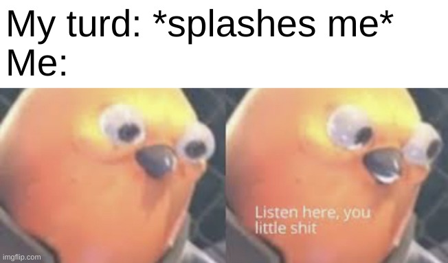 Listen here you little shit bird | My turd: *splashes me*
Me: | image tagged in listen here you little shit bird,memes,literal meme,poop | made w/ Imgflip meme maker