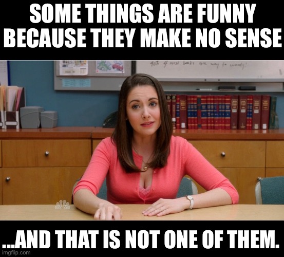Some things are funny | SOME THINGS ARE FUNNY BECAUSE THEY MAKE NO SENSE; ...AND THAT IS NOT ONE OF THEM. | image tagged in community,annie | made w/ Imgflip meme maker