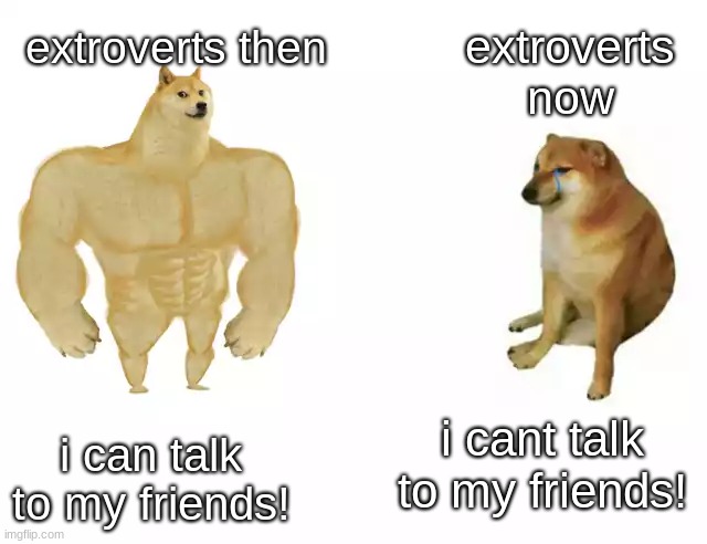 Buff Doge vs. Cheems Meme | extroverts now; extroverts then; i can talk to my friends! i cant talk to my friends! | image tagged in buff doge vs cheems | made w/ Imgflip meme maker