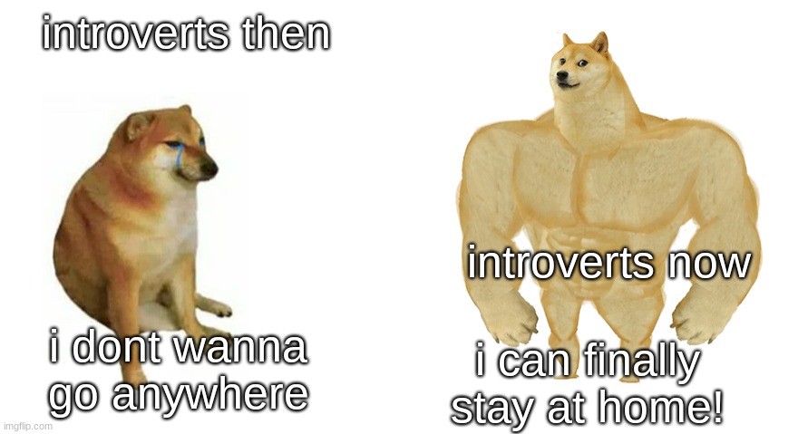 Swole Doge vs. Cheems flipped | introverts then; introverts now; i dont wanna go anywhere; i can finally stay at home! | image tagged in swole doge vs cheems flipped | made w/ Imgflip meme maker