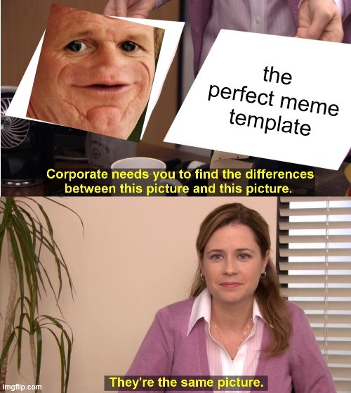 They're The Same Picture | the perfect meme template | image tagged in memes,they're the same picture | made w/ Imgflip meme maker