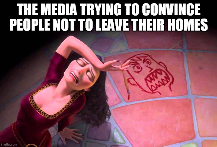 Don't believe them | THE MEDIA TRYING TO CONVINCE PEOPLE NOT TO LEAVE THEIR HOMES | image tagged in coronavirus,safer at home,not safer at home,tangled,social distancing,freedom | made w/ Imgflip meme maker