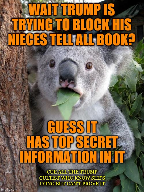 Surprised Koala | WAIT TRUMP IS TRYING TO BLOCK HIS NIECES TELL ALL BOOK? GUESS IT HAS TOP SECRET INFORMATION IN IT; CUE ALL THE TRUMP CULTIST WHO KNOW SHE'S LYING BUT CAN'T PROVE IT | image tagged in memes,surprised koala | made w/ Imgflip meme maker