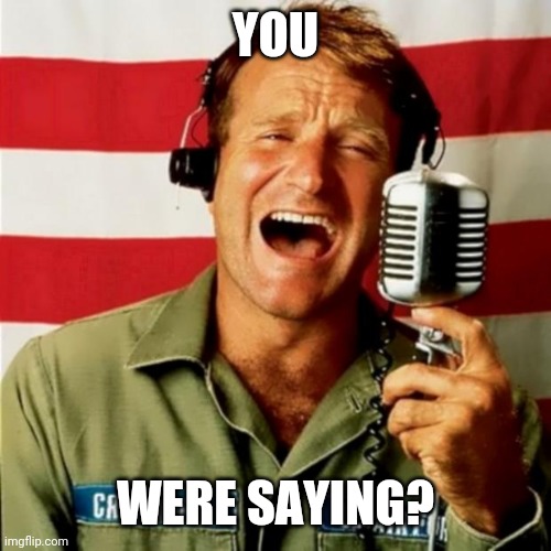 Good Morning Vietnam | YOU WERE SAYING? | image tagged in good morning vietnam | made w/ Imgflip meme maker