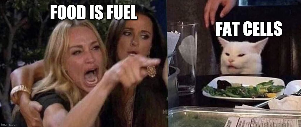 woman yelling at cat | FOOD IS FUEL; FAT CELLS | image tagged in woman yelling at cat | made w/ Imgflip meme maker