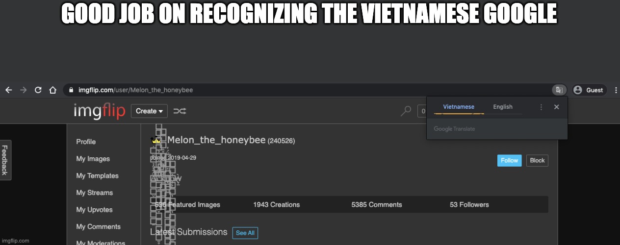 GOOD JOB ON RECOGNIZING THE VIETNAMESE GOOGLE | image tagged in google | made w/ Imgflip meme maker
