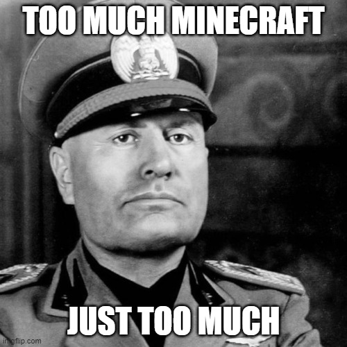 minecraft | TOO MUCH MINECRAFT; JUST TOO MUCH | image tagged in minecraft,mussolini | made w/ Imgflip meme maker