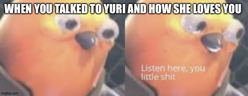 Listen here you little shit bird | WHEN YOU TALKED TO YURI AND HOW SHE LOVES YOU | image tagged in listen here you little shit bird | made w/ Imgflip meme maker