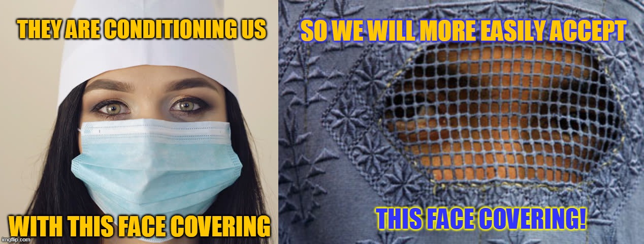 SO WE WILL MORE EASILY ACCEPT; THEY ARE CONDITIONING US; WITH THIS FACE COVERING; THIS FACE COVERING! | made w/ Imgflip meme maker