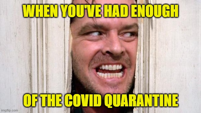 The Shining: The 2020 Coronavirus Edition |  WHEN YOU'VE HAD ENOUGH; OF THE COVID QUARANTINE | image tagged in the shining,memes,quarantine,covid-19,coronavirus,had enough | made w/ Imgflip meme maker