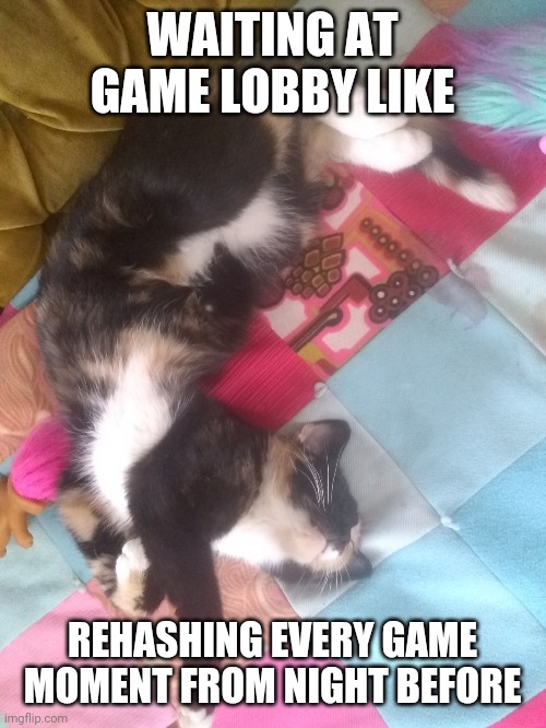 Lobby cat | WAITING AT GAME LOBBY LIKE; REHASHING EVERY GAME MOMENT FROM NIGHT BEFORE | image tagged in sleeping cat | made w/ Imgflip meme maker