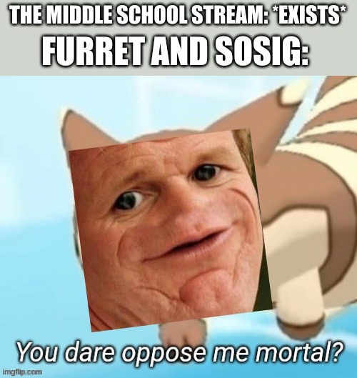 Yeah | THE MIDDLE SCHOOL STREAM: *EXISTS*; FURRET AND SOSIG: | image tagged in sosig you dare oppose me mortal | made w/ Imgflip meme maker