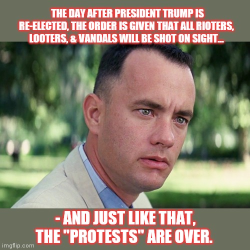 Back to SANITY, thank you | THE DAY AFTER PRESIDENT TRUMP IS RE-ELECTED, THE ORDER IS GIVEN THAT ALL RIOTERS, LOOTERS, & VANDALS WILL BE SHOT ON SIGHT... - AND JUST LIKE THAT, THE "PROTESTS" ARE OVER. | image tagged in memes,and just like that | made w/ Imgflip meme maker