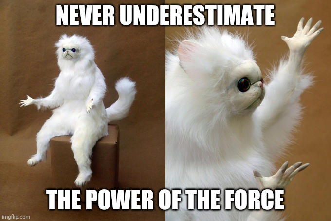 Persian Cat Room Guardian Meme | NEVER UNDERESTIMATE; THE POWER OF THE FORCE | image tagged in memes,persian cat room guardian | made w/ Imgflip meme maker