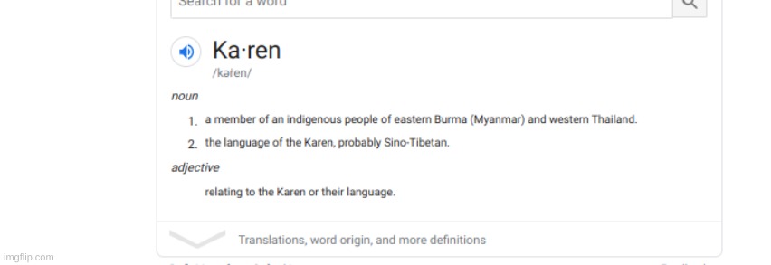 Karen Definition | image tagged in karen definition | made w/ Imgflip meme maker