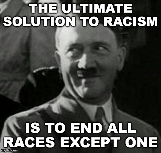 How far do you plan to go in your fight against racism? | THE ULTIMATE SOLUTION TO RACISM; IS TO END ALL RACES EXCEPT ONE | image tagged in hitler laugh,politics,black lives matter,memes,racism,fake news | made w/ Imgflip meme maker
