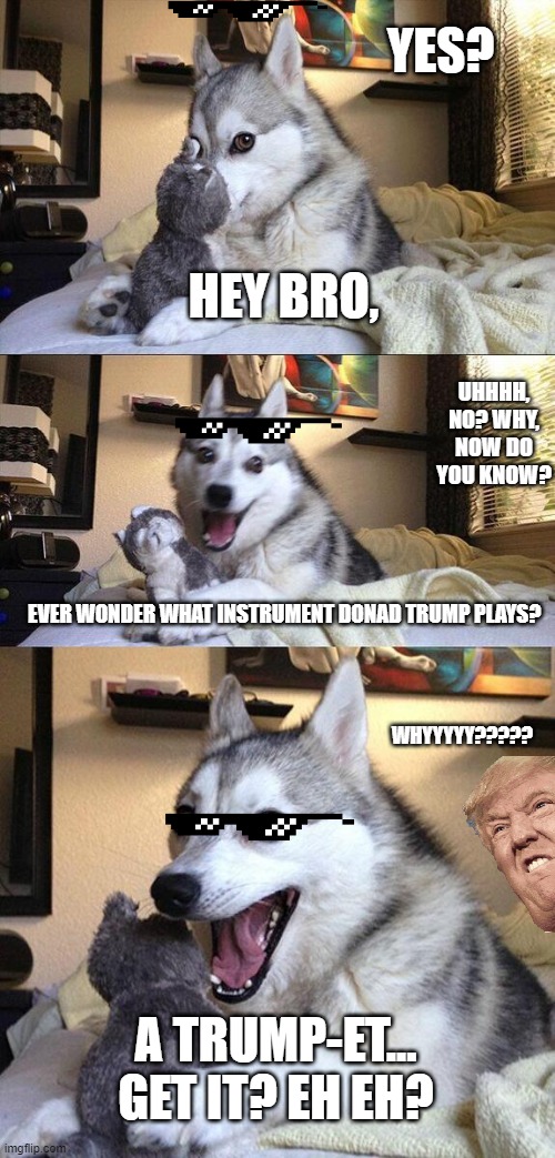 ummmm, meme? | YES? HEY BRO, UHHHH, NO? WHY, NOW DO YOU KNOW? EVER WONDER WHAT INSTRUMENT DONAD TRUMP PLAYS? WHYYYYY????? A TRUMP-ET... GET IT? EH EH? | image tagged in memes,bad pun dog,donald trump,trump,husky,trumpet | made w/ Imgflip meme maker